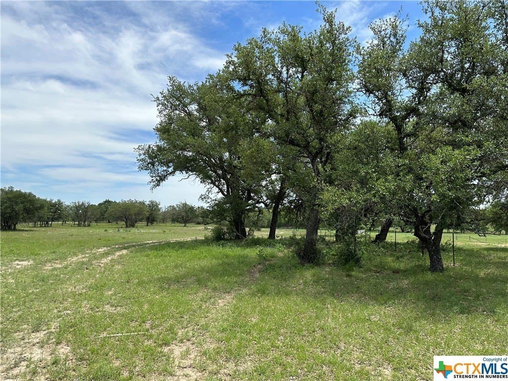 12 acres in Burnet County gallery image 3