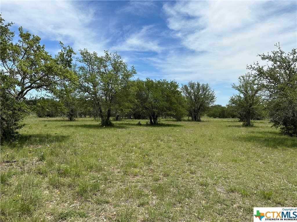 12 acres in Burnet County gallery image 4