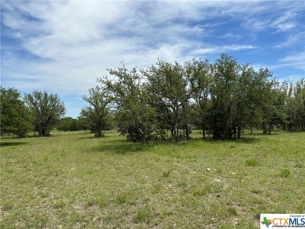 12 acres in Burnet County featured view
