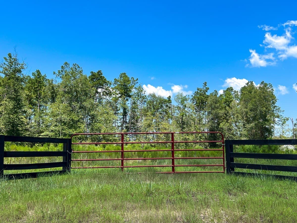 61.6 acres in Polk County - photo 5