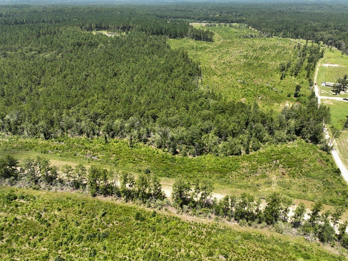 61.6 acres in Polk County - photo 7