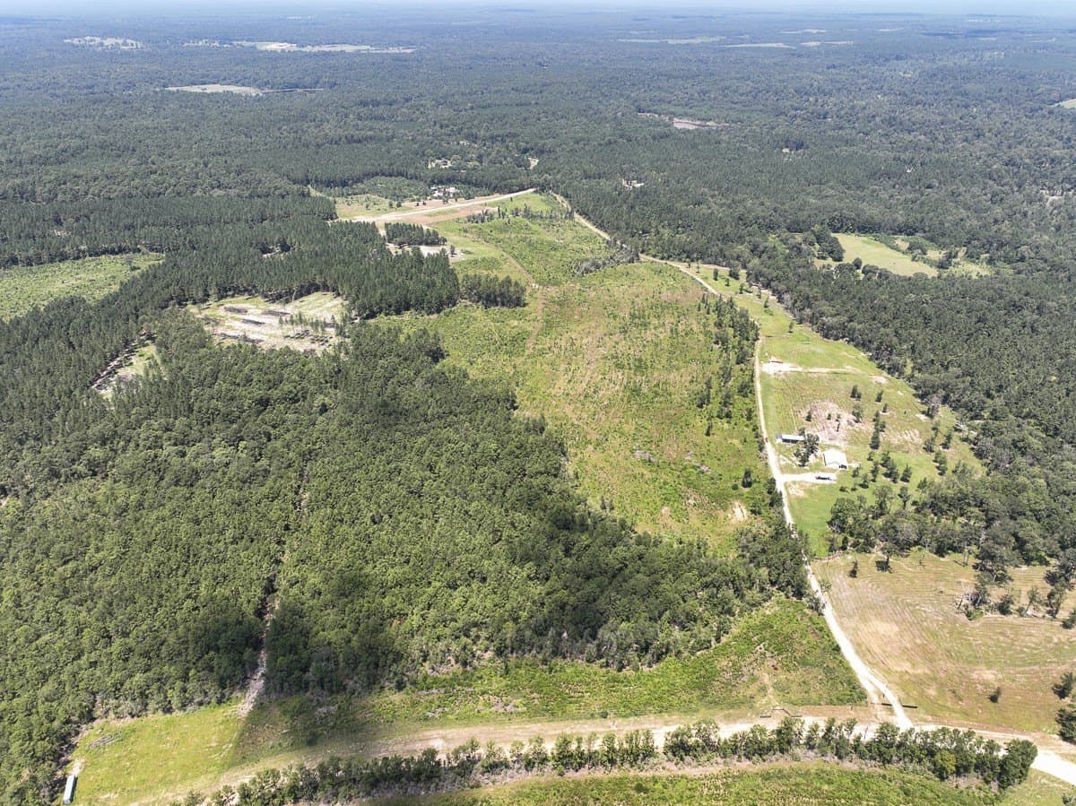 61.6 acres in Polk County - photo 6