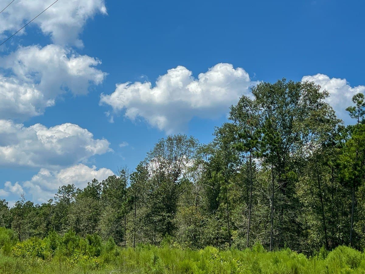 61.6 acres in Polk County - photo 3