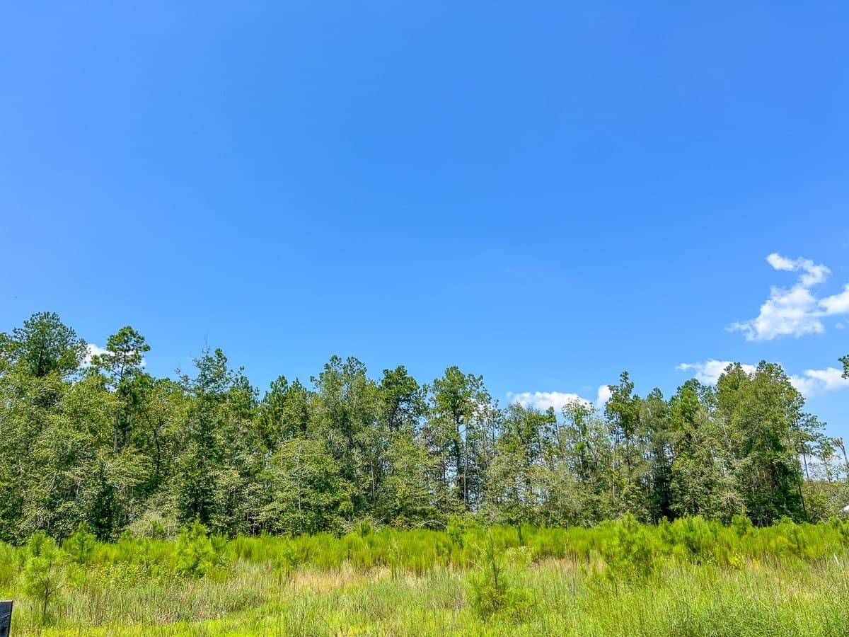 61.6 acres in Polk County - photo 4