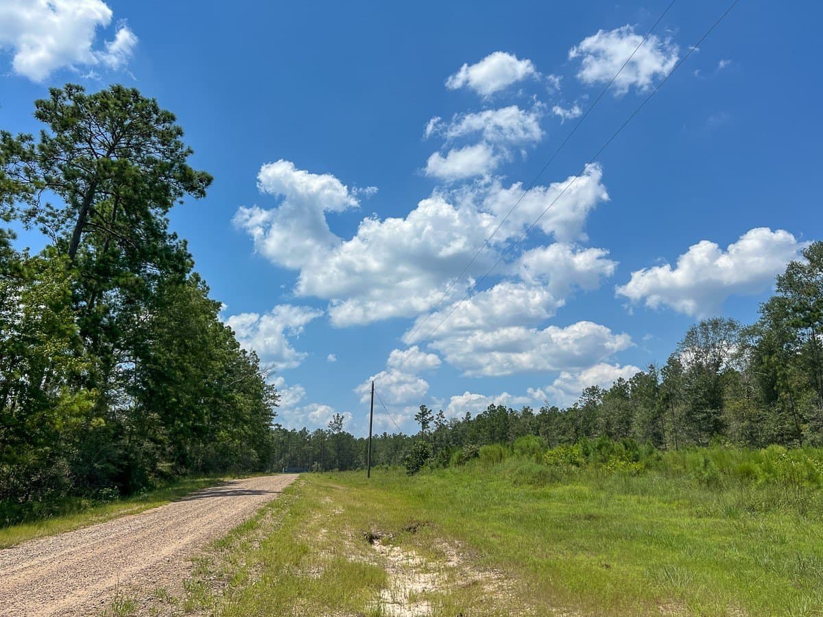 61.6 acres in Polk County - photo 2