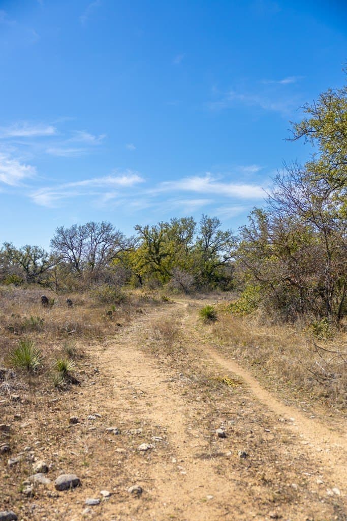 44.71 acres in Mason County - photo 80