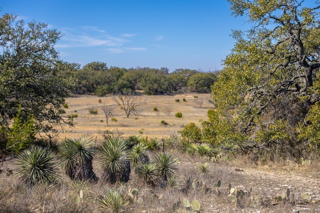 44.71 acres in Mason County - photo 90