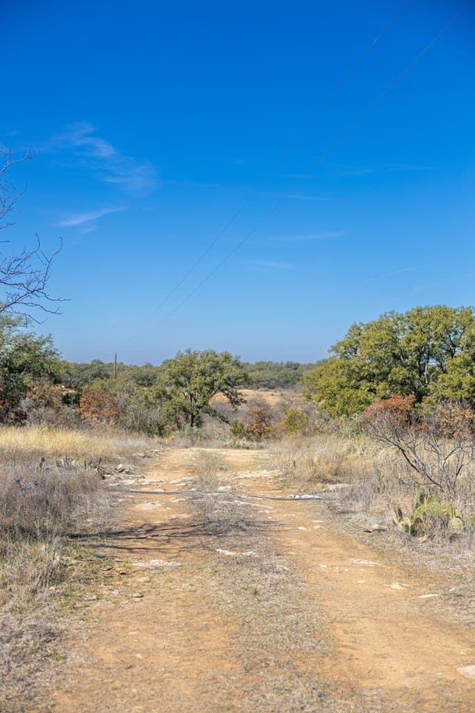 44.71 acres in Mason County - photo 75