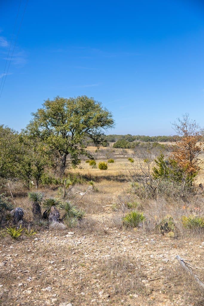 44.71 acres in Mason County - photo 81