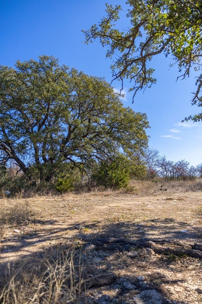 44.71 acres in Mason County - photo 86