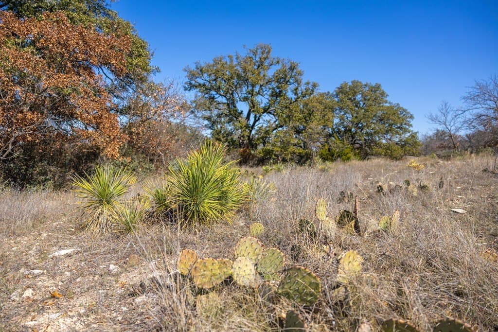 44.71 acres in Mason County - photo 82