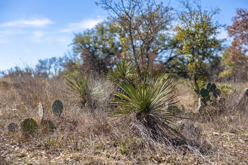44.71 acres in Mason County - photo 87