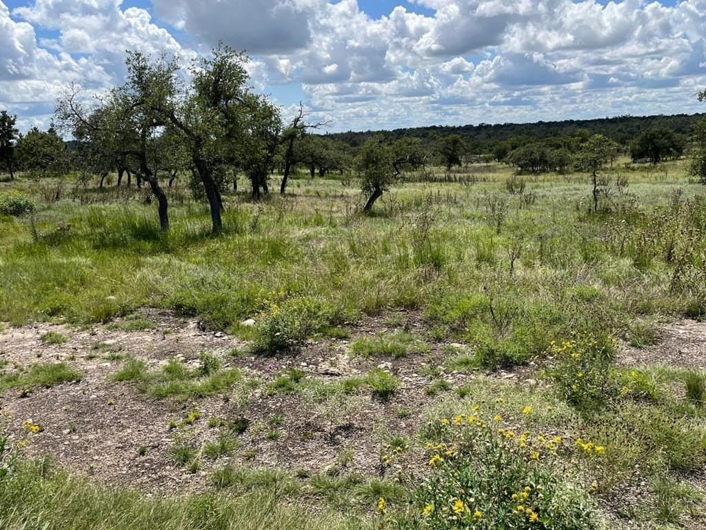 10.1 acres in Gillespie County - photo 5