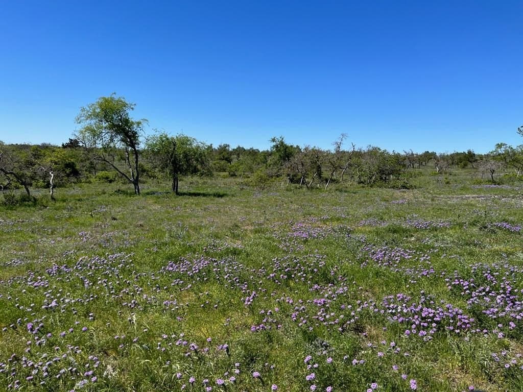 10.1 acres in Gillespie County - photo 7
