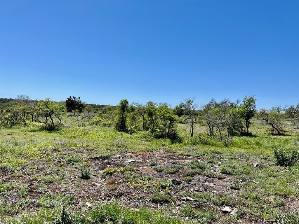 10.1 acres in Gillespie County - photo 3