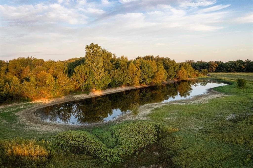 93.48 acres in Lamar County gallery image 3