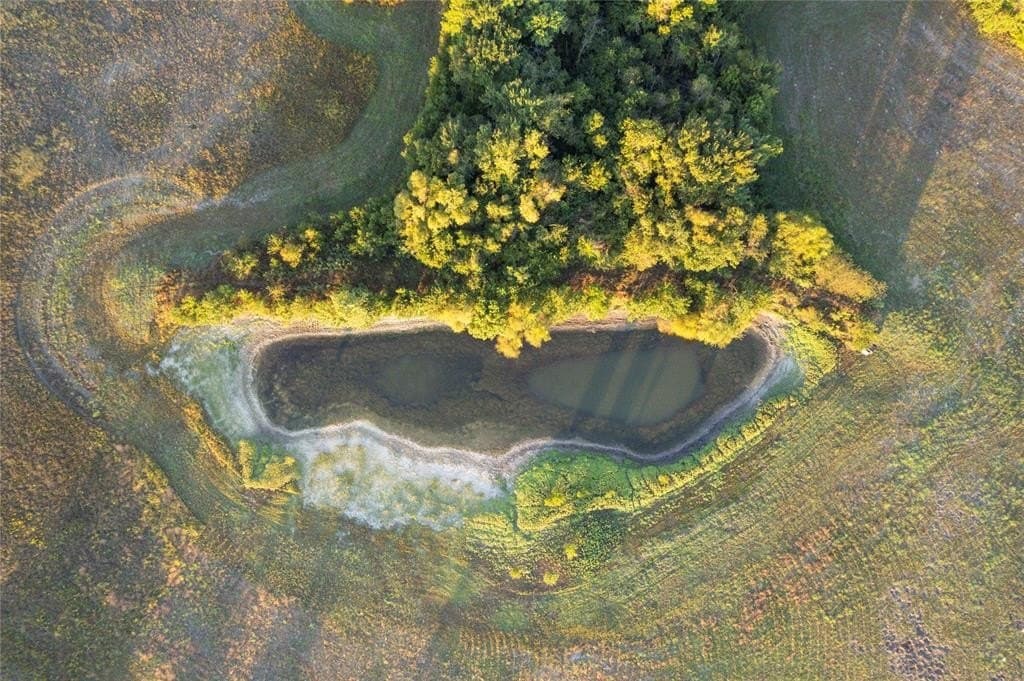 93.48 acres in Lamar County featured view