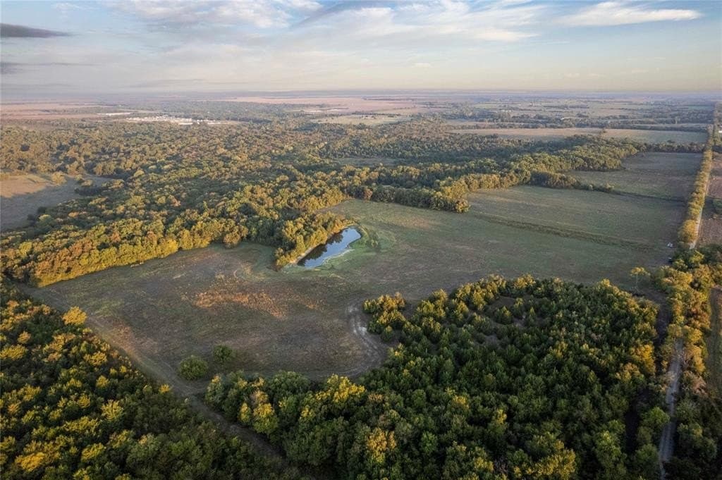 93.48 acres in Lamar County gallery image 2