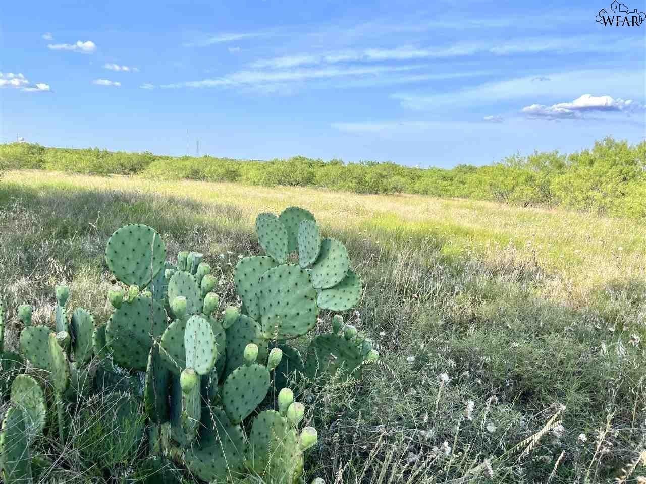 49.23 acres in Wichita County - photo 6