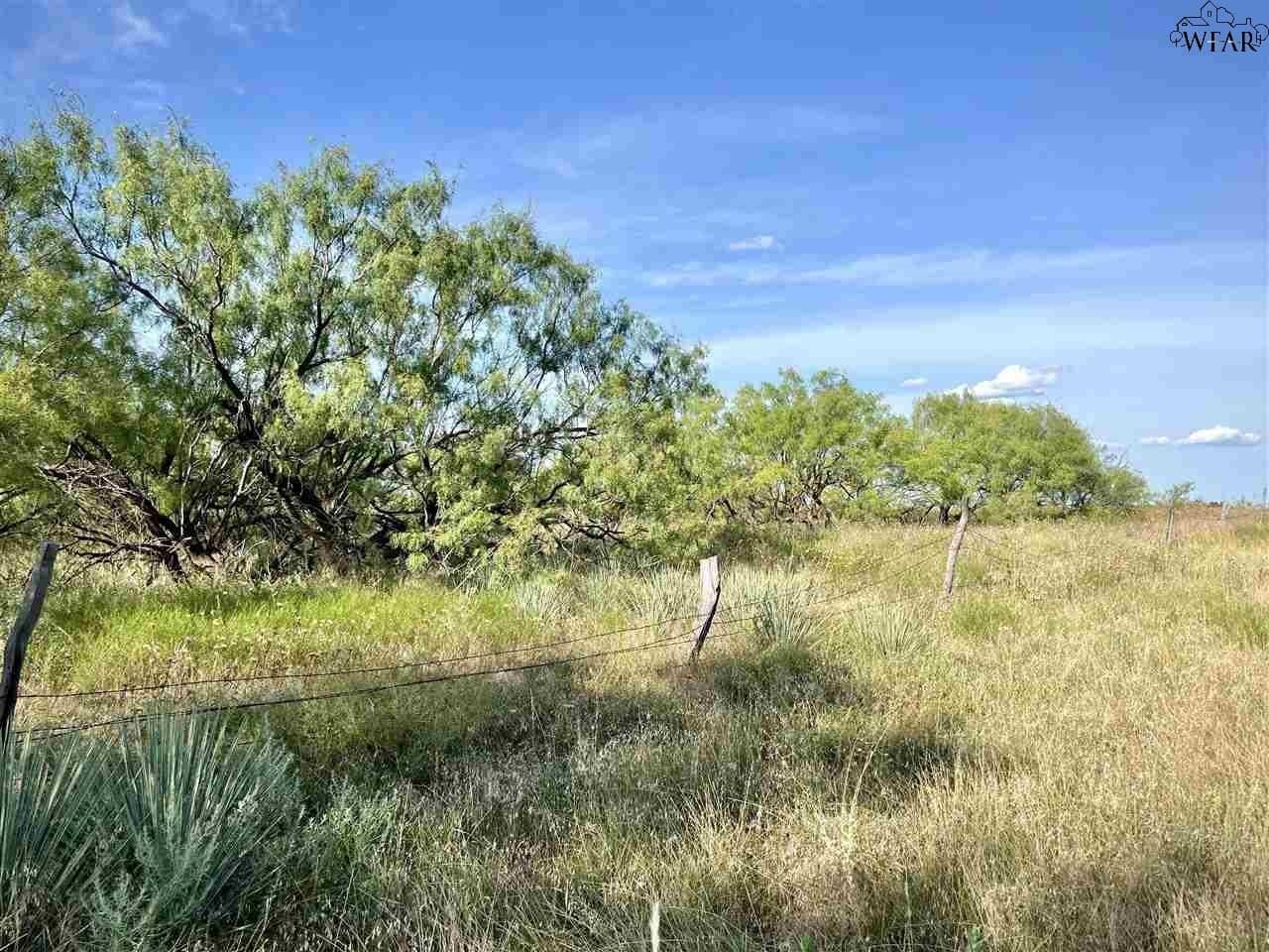 49.23 acres in Wichita County - photo 3