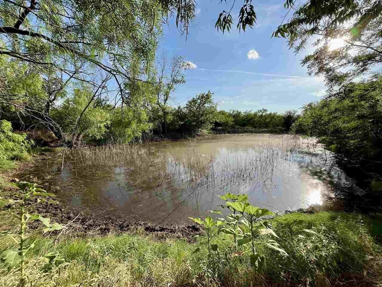 49.23 acres in Wichita County - photo 10