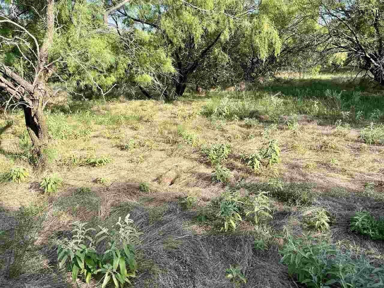 49.23 acres in Wichita County - photo 9