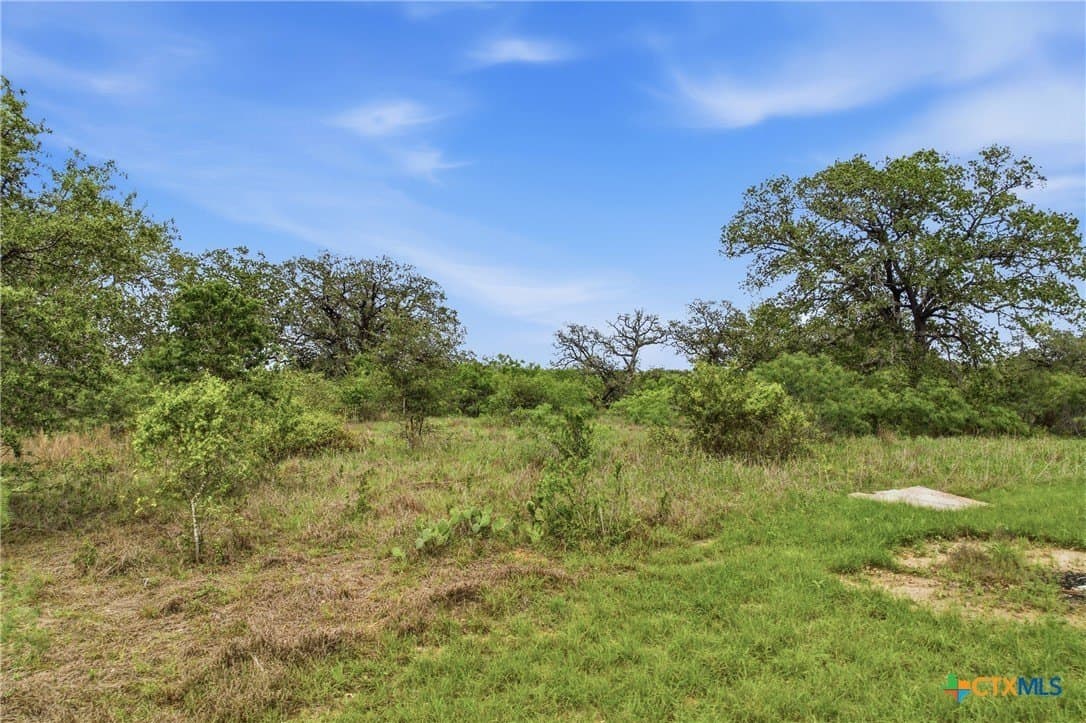 10.78 acres in Caldwell County - photo 11