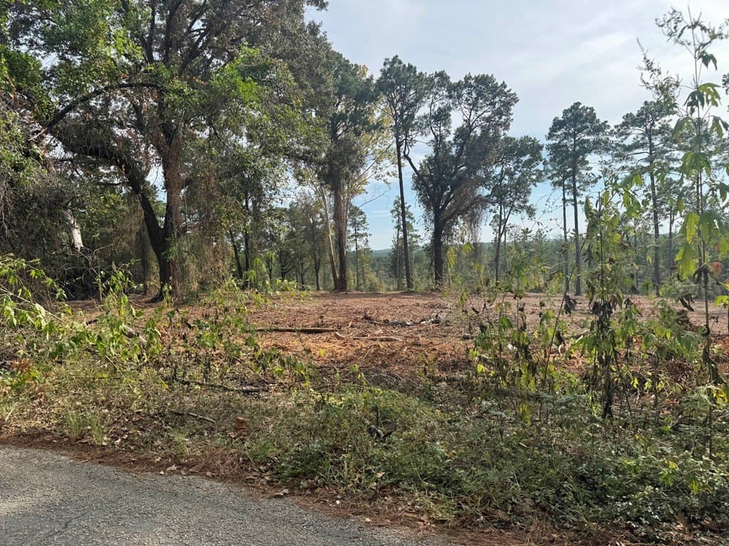 0.5 acres in Texas County gallery image 3