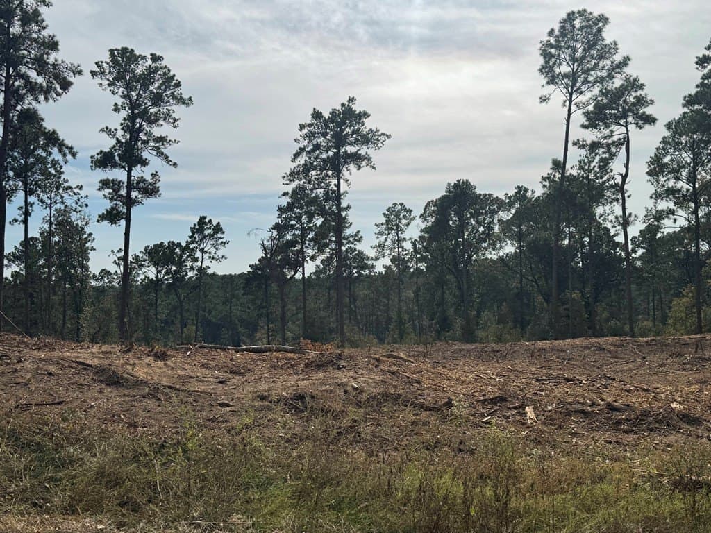0.5 acres in Texas County - photo 8