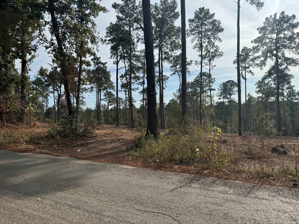0.5 acres in Texas County featured view