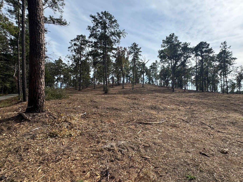 0.5 acres in Texas County - photo 24