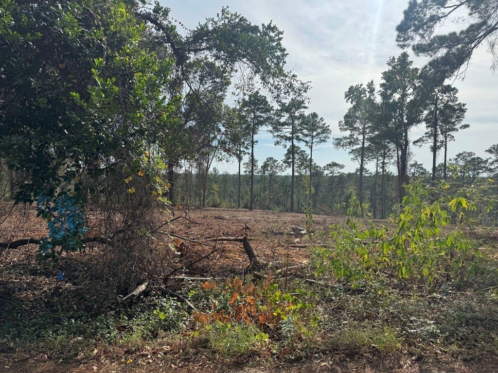 0.5 acres in Texas County gallery image 2