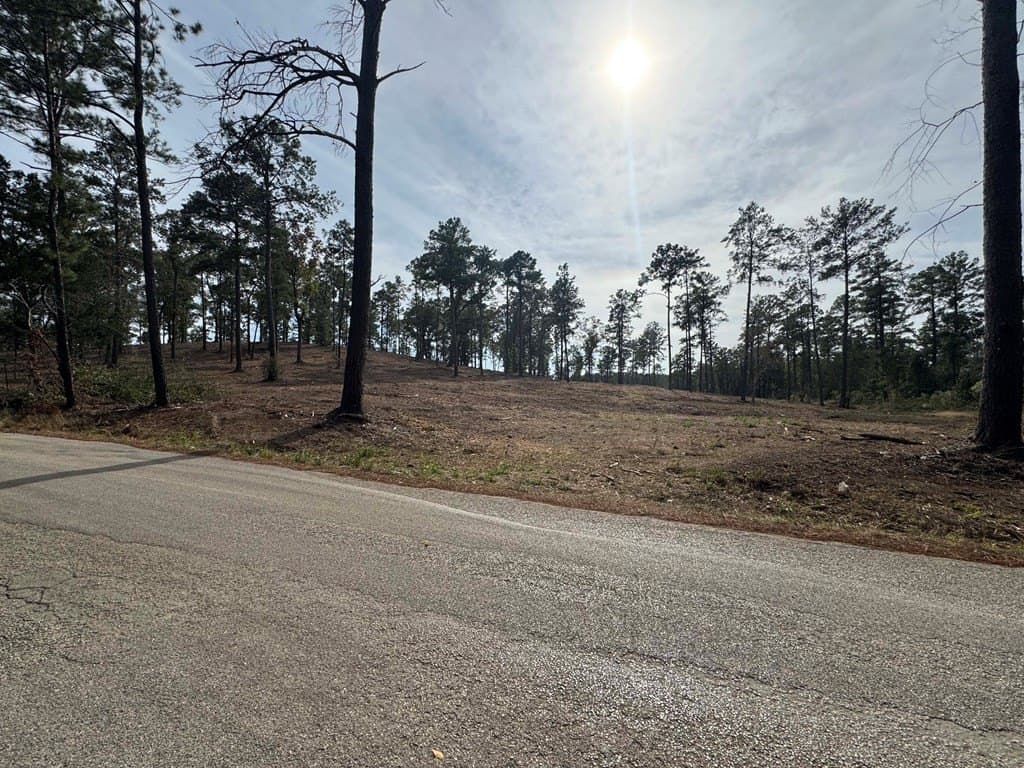 0.5 acres in Texas County - photo 19