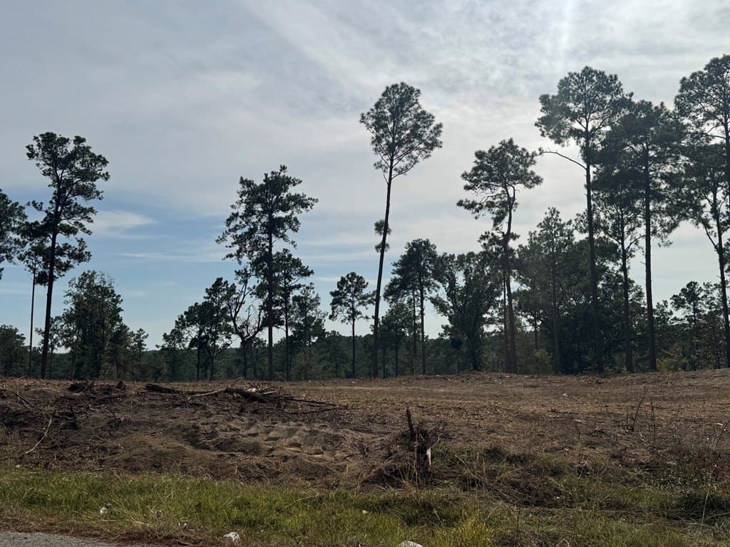 0.5 acres in Texas County - photo 10
