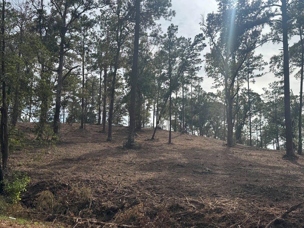 0.5 acres in Texas County - photo 16