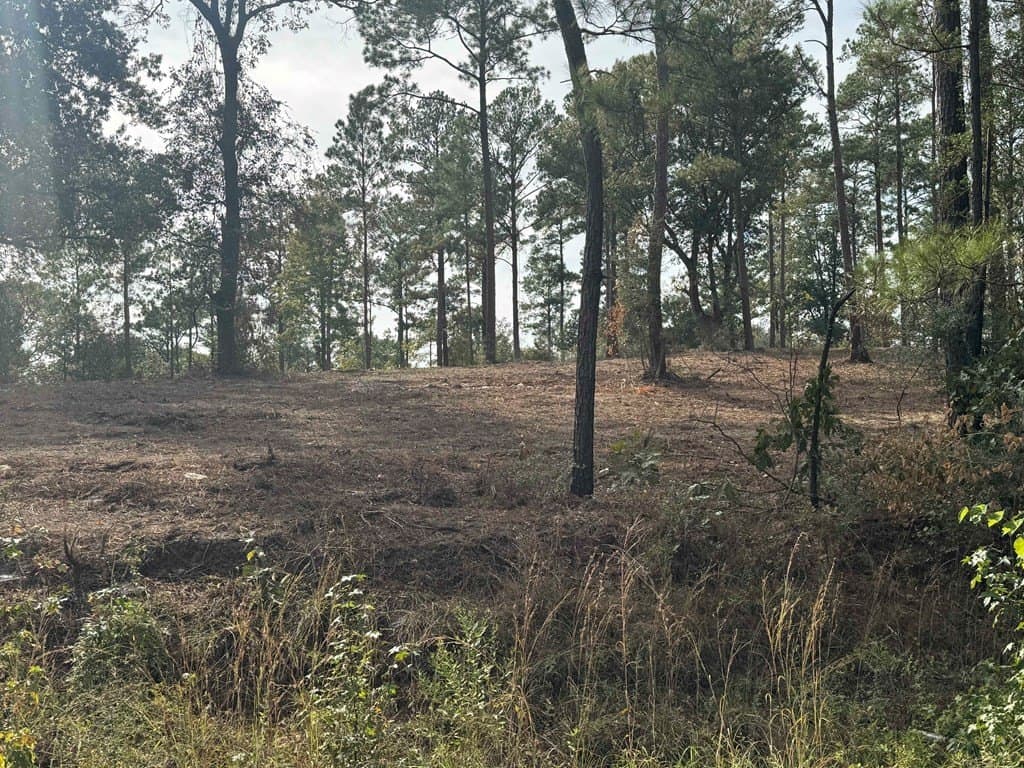 0.5 acres in Texas County - photo 13