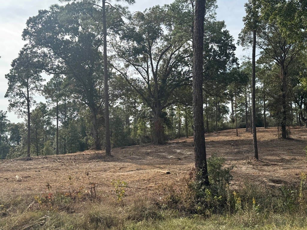 0.5 acres in Texas County - photo 11
