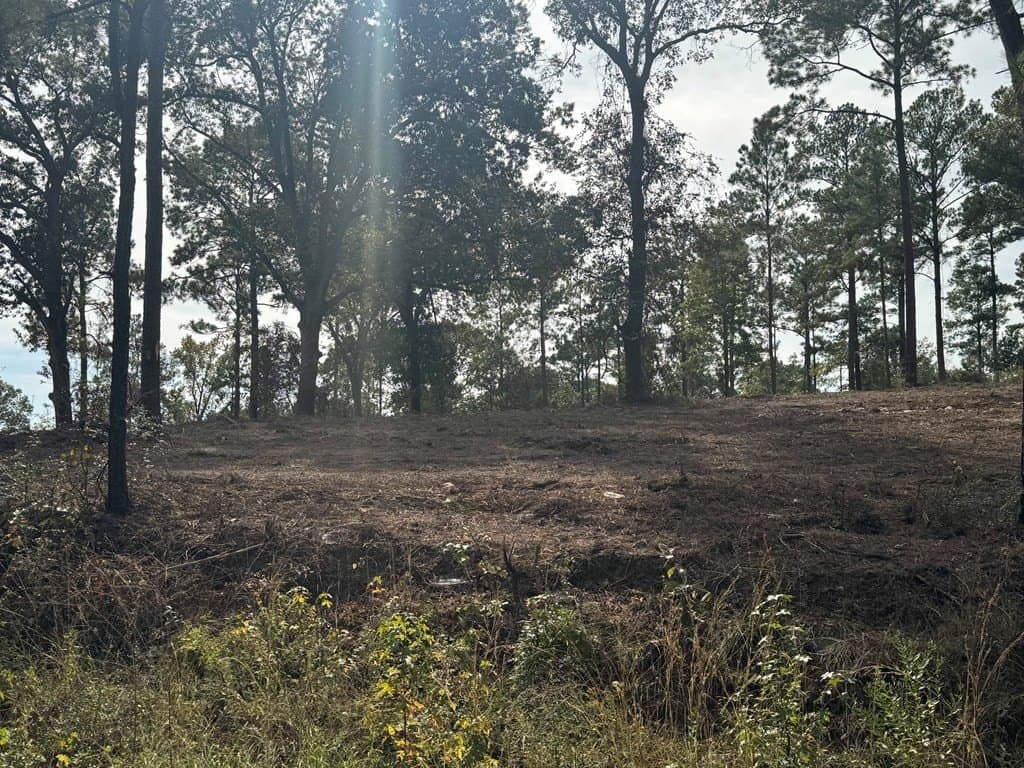 0.5 acres in Texas County - photo 12