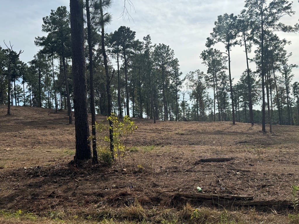 0.5 acres in Texas County - photo 23
