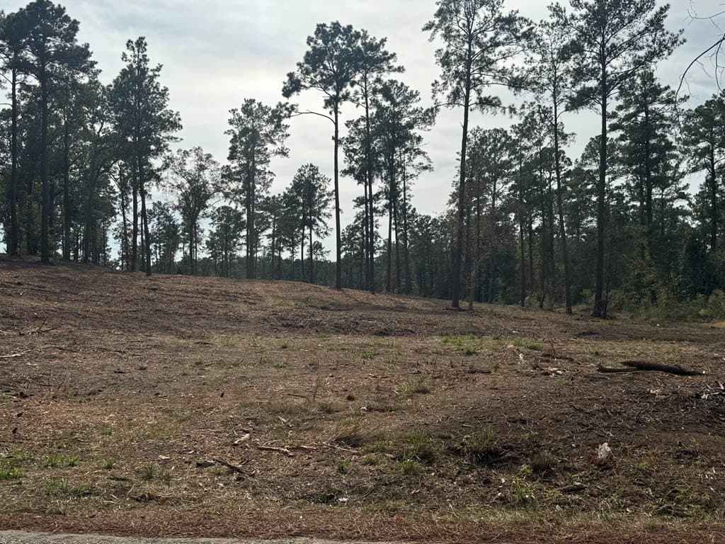 0.5 acres in Texas County - photo 21