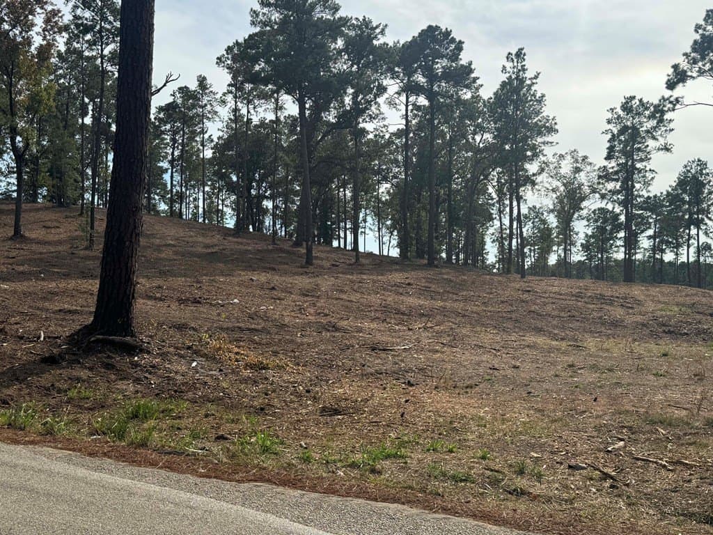 0.5 acres in Texas County - photo 20