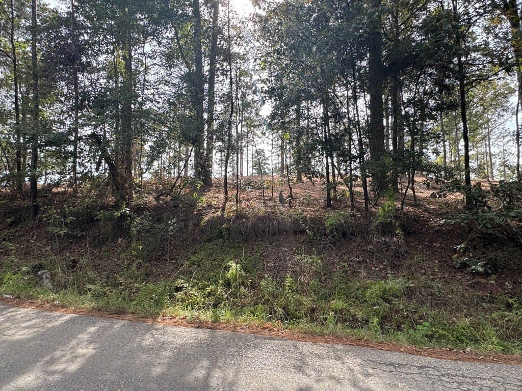 0.5 acres in Texas County - photo 15