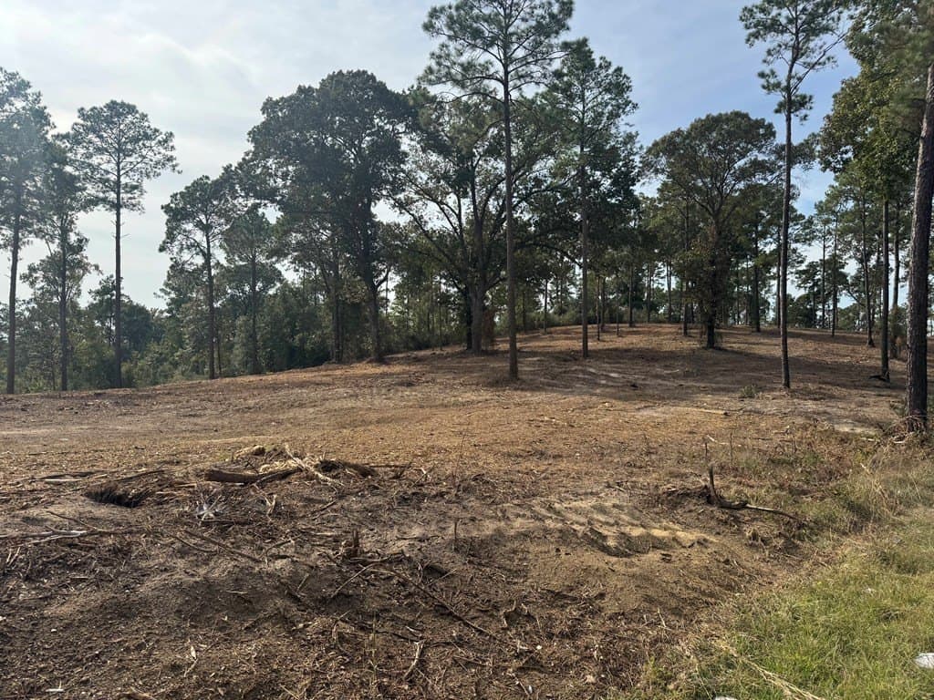 0.5 acres in Texas County - photo 28