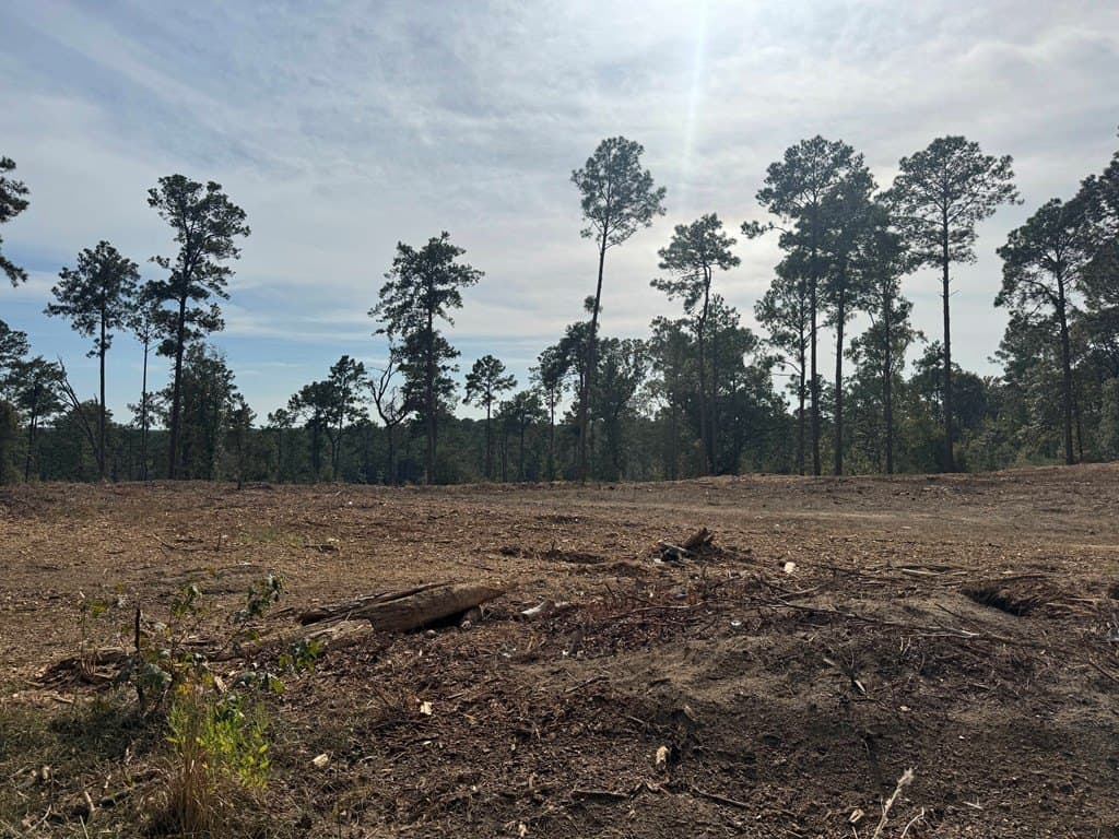 0.5 acres in Texas County - photo 27
