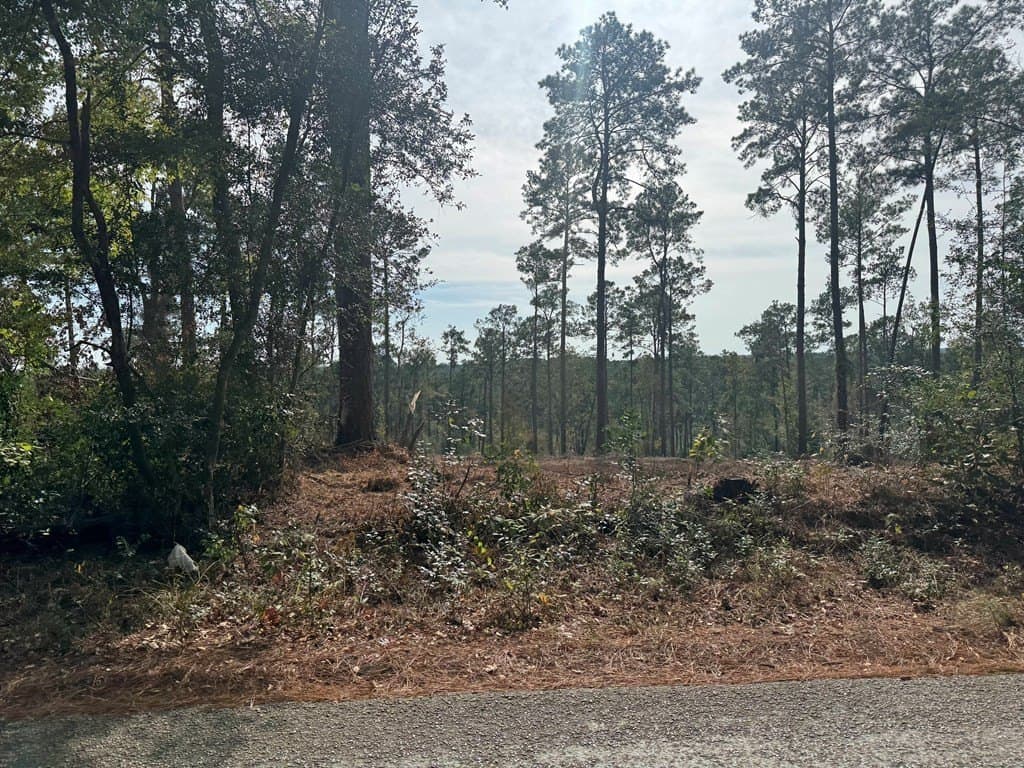 0.5 acres in Texas County gallery image 4
