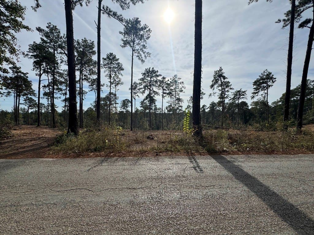 0.5 acres in Texas County - photo 6