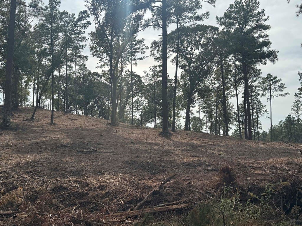 0.5 acres in Texas County - photo 17
