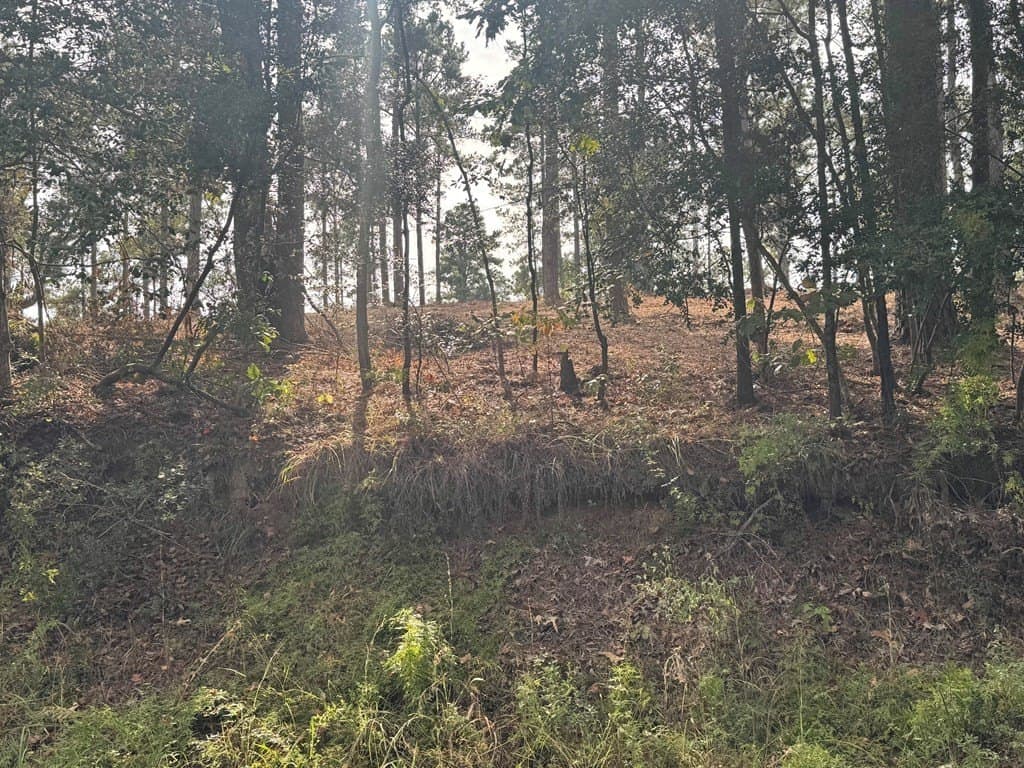 0.5 acres in Texas County - photo 14