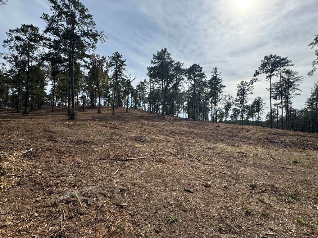 0.5 acres in Texas County - photo 25