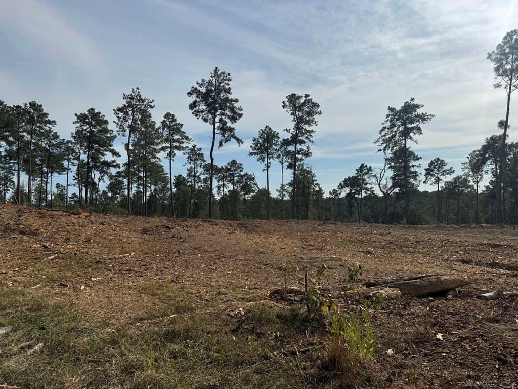 0.5 acres in Texas County - photo 26